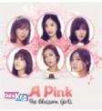 Cover Buku A Pink: The Blossom Girls