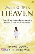 Waking Up in Heaven : Kisah Nyata Seorang Perempuan yang Menjumpai Tuhan dalam Kematiannya, Lalu Hidup Kembali