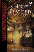 Cover Buku Runtuhnya Dinasti Wang - A House Divided
