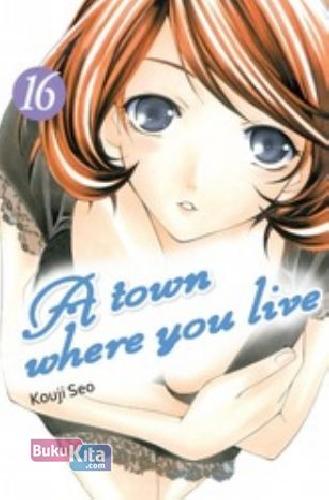 Cover Buku A Town Where You Live 16