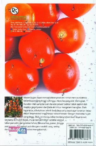 Cover Belakang Buku Bertanam Tomat Di Musim Hujan