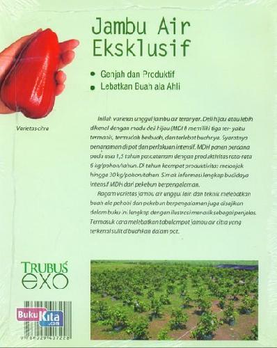Cover Belakang Buku Jambu Air Eksklusif