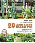 Cover Buku Cara Mudah Bertanam 29 Jenis Sayur Dalam Pot