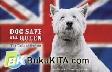 Cover Buku DOG SAVE THE QUEEN: Tails of Britain