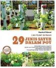 Cara Mudah Bertanam 29 Jenis Sayur Dalam Pot