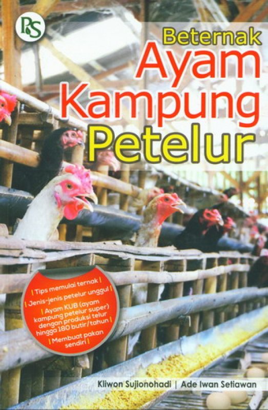 Cover Buku Beternak Ayam Kampung Petelur