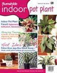 Rumah Ide Edisi 9/III: Indoor Pot Plant : Step by Step Menanam Tanaman Hias dalam Pot