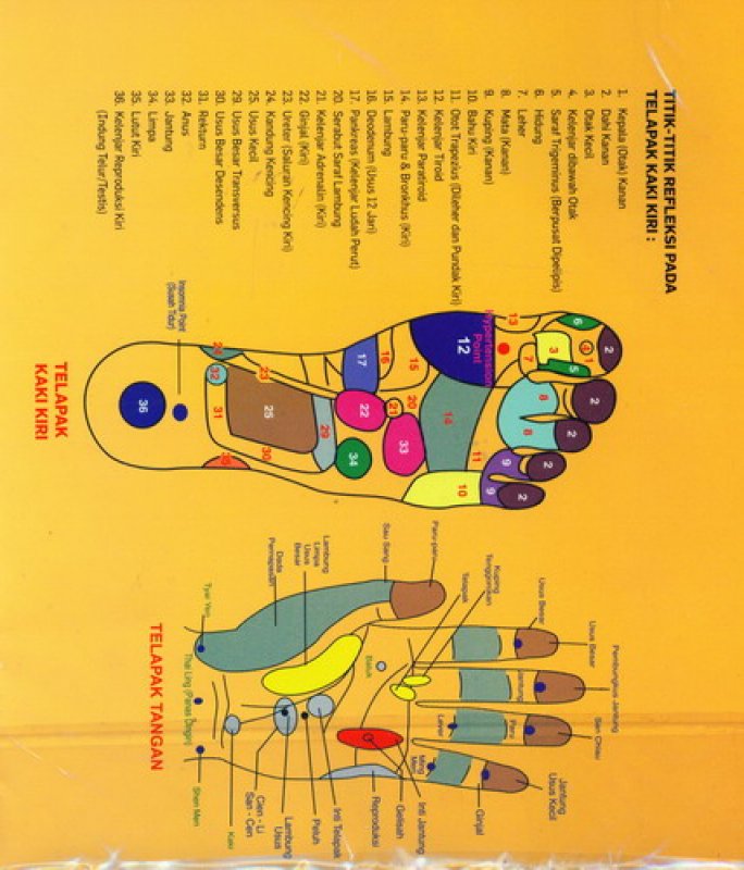 Cover Buku Terapi Refleksi Solusi Sehat Seumur Hidup (Poster Refleksi + Stick Refleksi Kayu)