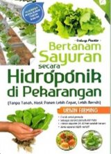 Bertanam Sayuran Secara Hidroponik di Pekarangan