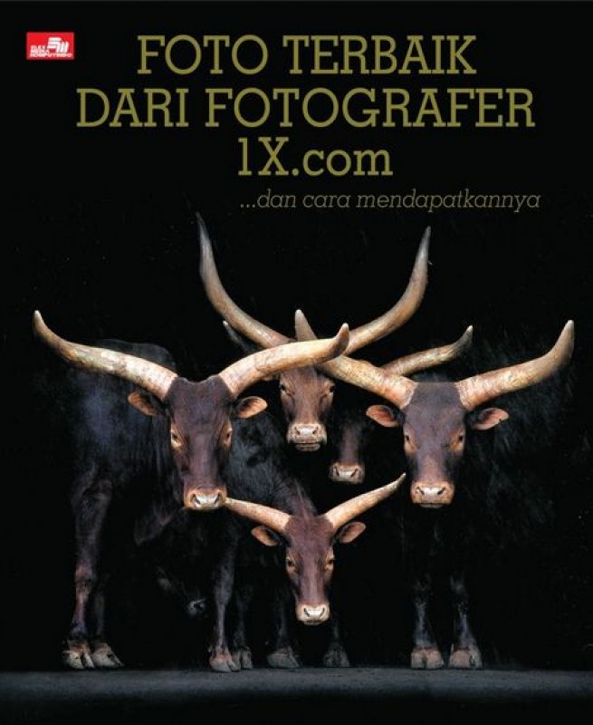 Cover Buku Foto Terbaik Dari Fotografer 1X.Com