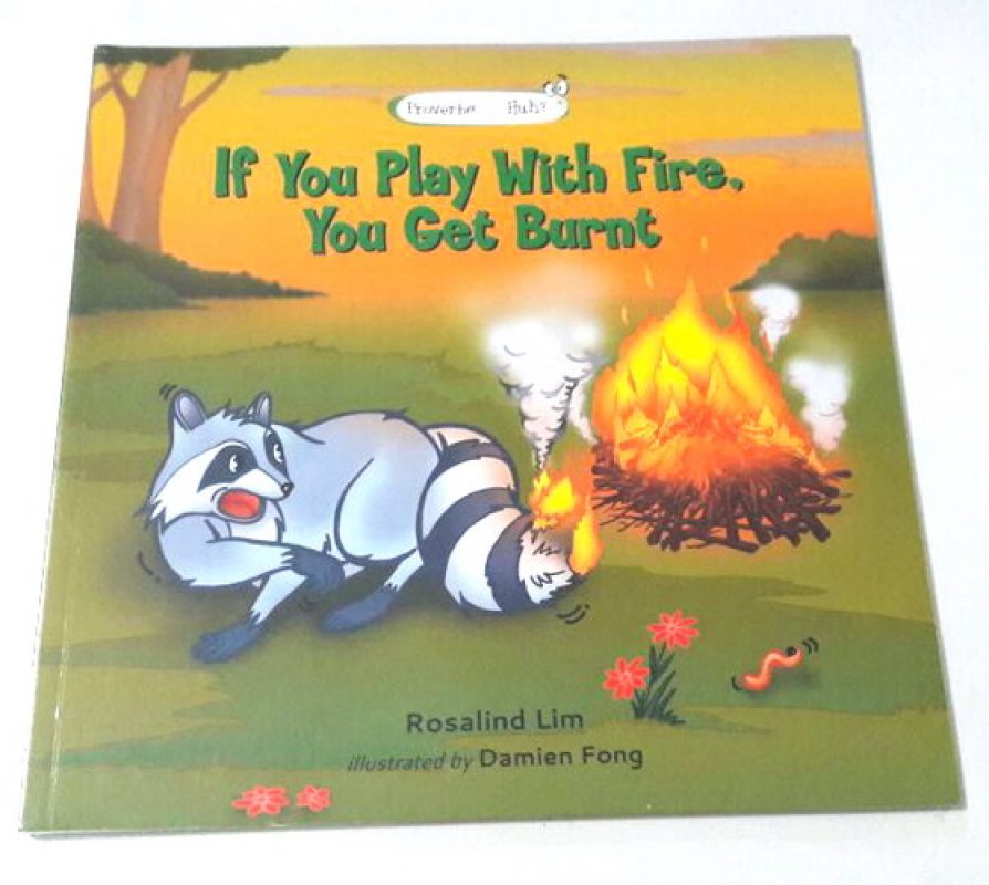 Cover Buku If You Play With Fire, You Get Burnt (english version)